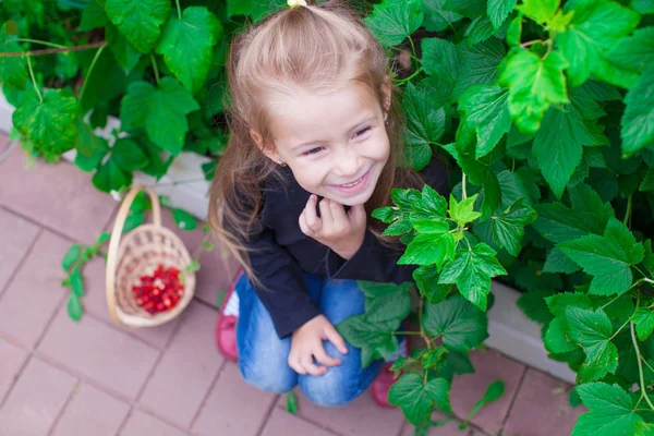 Ritratto carina bambina in giardino con cesto di bacche — Foto Stock