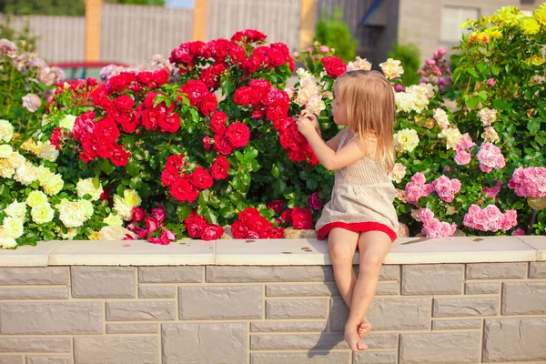 Liten bedårande flicka sitter nära färgglada blommor i trädgården — Stockfoto