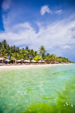 güzel egzotik tatil tropikal beyaz sunny beach