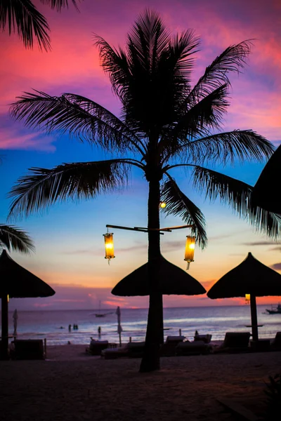 Blu rosa e rosso tramonto sul mare spiaggia con silhouette palma — Foto Stock