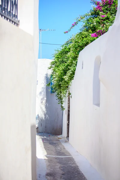 Vacker stenlagd gata med gamla traditionella vita huset i emporio santorini, Grekland — Stockfoto