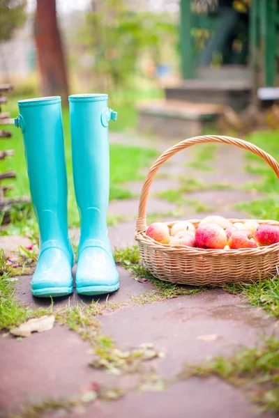Close-up de botas de borracha coloridas e grande cesta com maçãs vermelhas no pátio da casa da aldeia — Fotografia de Stock