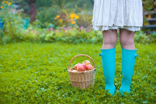 Vista trasera de las piernas femeninas en botas de goma y una cesta con manzanas rojas —  Fotos de Stock