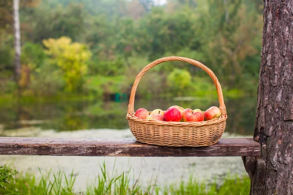Big straw basket with red and yellow apples on a bench near the lake — Stock Photo, Image