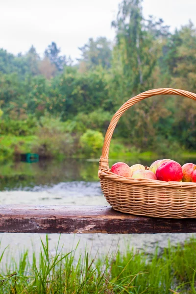 Close up of Big straw basket with red and yellow apples on a bench by the lake — Stock Photo, Image