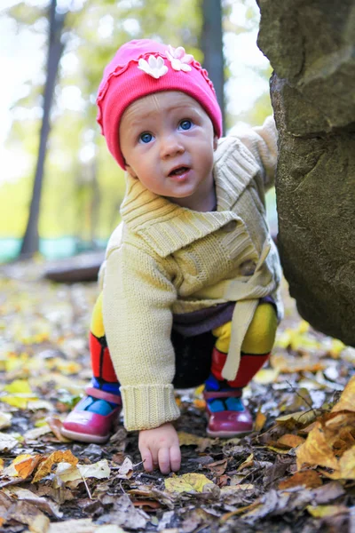 Retrato de pequena menina adorável andando sozinha no parque de outono — Fotografia de Stock