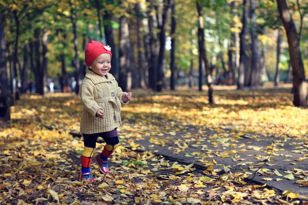 Piccola bella ragazza che cammina nel parco autunnale — Foto Stock