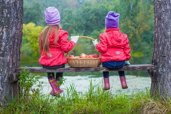 그들의 손에 빨간 사과 바구니와 함께 호숫가 벤치에 두 아름 다운 자매의 후면 보기 — 스톡 사진