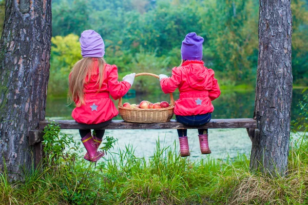2 つの美しい姉妹の湖のほとりのベンチとリアビューを手に赤いリンゴのバスケット — ストック写真