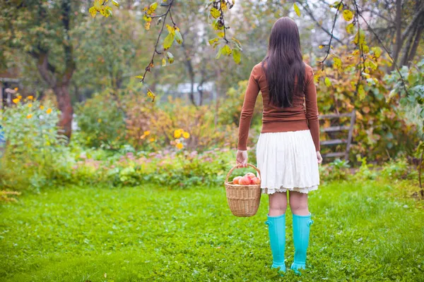 Vue arrière de Jeune femme en bottes en caoutchouc tenant le panier de paille avec des pommes rouges à l'automne — Photo