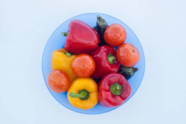 Deep plate with delicious vegetables: peppers, eggplant and tomatoes on white snow — Stock Photo, Image