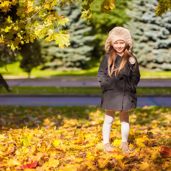 Lilla vackra flicka på hösten ängen i en solig höst dag — Stockfoto