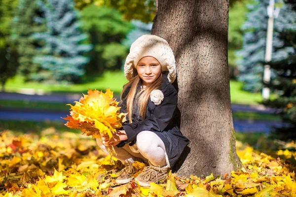 Hübsches Modemädchen sitzt unter einem Baum mit einem Strauß Ahornblättern an einem sonnigen Herbsttag — Stockfoto