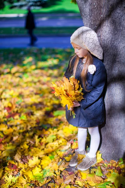 Little beautiful girl on the autumn meadow in a sunny fall day — Stock Photo, Image