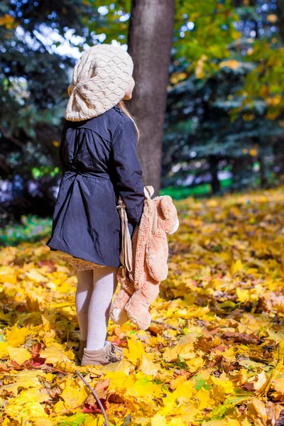 Vista posteriore di affascinante bambina con uno zaino-orso nella foresta soleggiata autunno — Foto Stock