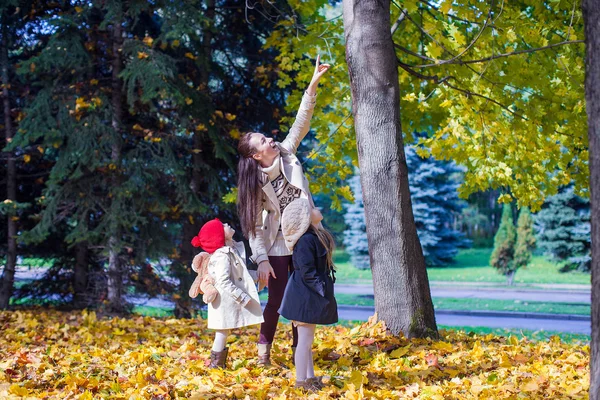 Joven madre y su adorable hija disfrutando de un encantador paseo por el bosque amarillo de otoño en un cálido día soleado — Foto de Stock