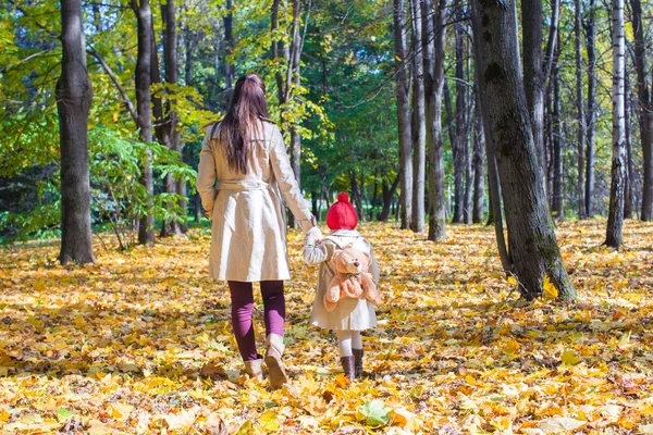 Achteraanzicht van jonge moeder en haar schattige kleine dochter wandelen in herfst park op zonnige dag — Stockfoto