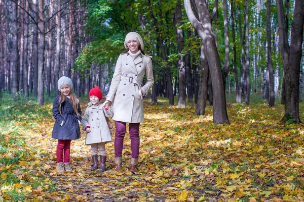 Giovane madre e le sue adorabili figlie che camminano nel giallo bosco autunnale in una calda giornata di sole — Foto Stock