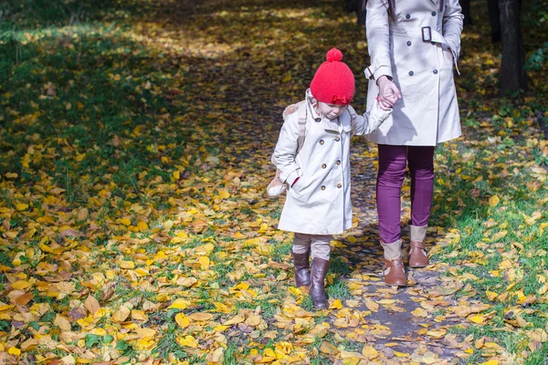 Joven madre y su adorable hija caminando en el bosque amarillo de otoño en un cálido día soleado —  Fotos de Stock