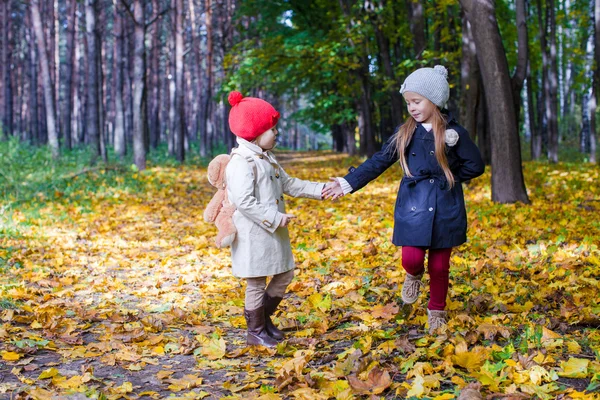 Två vackra bedårande flickor promenader i skogen höst på varm solig höstdag — Stockfoto