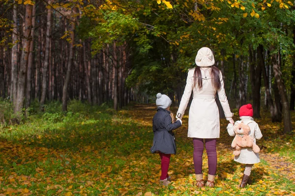 Back view of young mother and her cute little daughters walking in autumn park at sunny day — Stock Photo, Image