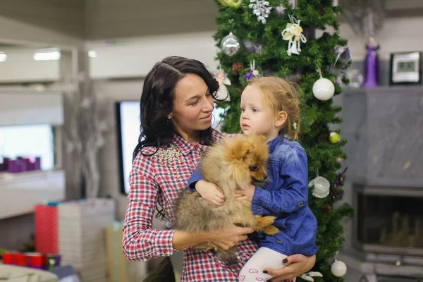 Jovem mãe com sua filhinha e cachorro bonito na véspera do Ano Novo na árvore de Natal — Fotografia de Stock