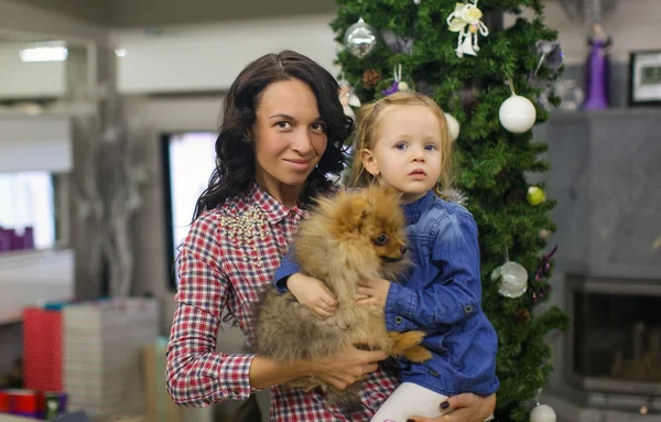 Junge Mutter mit kleiner Tochter und süßem Hund am Silvesterabend am Weihnachtsbaum — Stockfoto