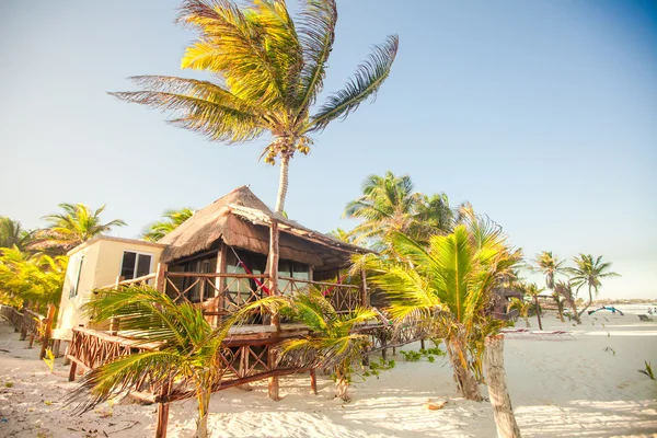 Tropical beach bungalow on ocean shore among palm trees — Stock Photo, Image