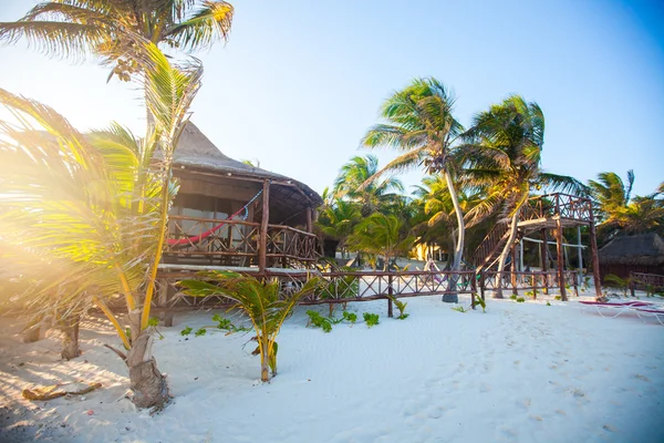 Okyanus kıyısında palmiye ağaçları arasında tropikal plaj bungalov — Stok fotoğraf