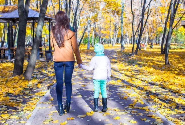 Bakifrån ung mamma och hennes bedårande dotter gå i gul höst skog på en varm solig dag — Stockfoto