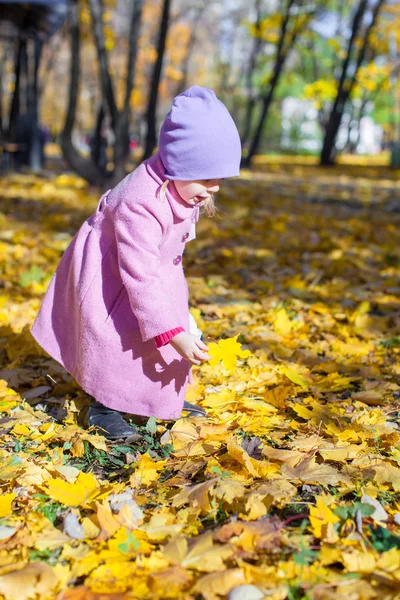 शरद ऋतू पार्क मध्ये थोडे आनंदी मुलगी — स्टॉक फोटो, इमेज