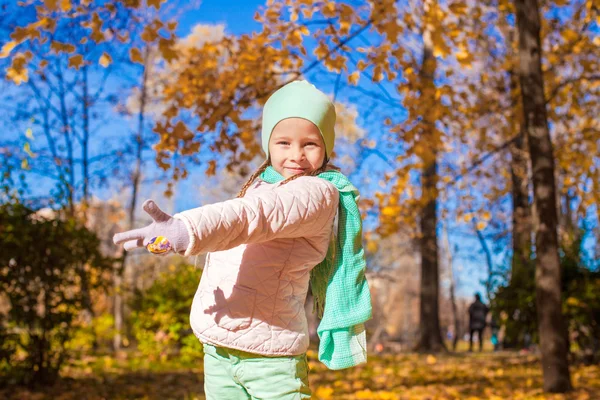 Little cute girl on the autumn meadow in a sunny fall day — Stock Photo, Image