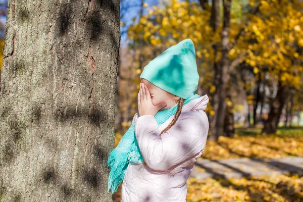 小女孩在玩捉迷藏的游戏附近的树在秋天的树林 — 图库照片