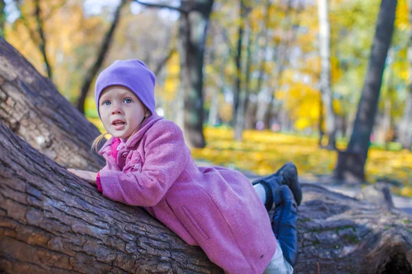 Little happy girl in autumn park — Stock Photo, Image