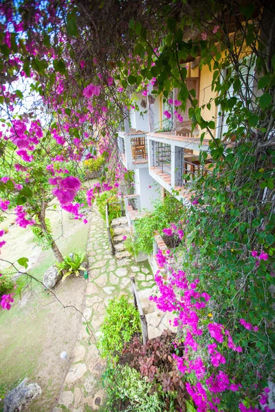 Schöne Aussicht auf den Garten vom Balkon in einem gemütlichen kleinen Hotel — Stockfoto