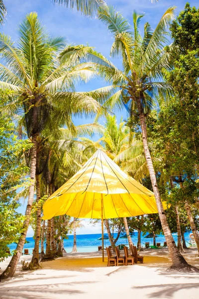 Perfect tropical beach in exotic resort — Stock Photo, Image