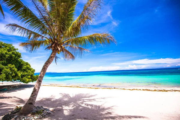 Perfekter weißer tropischer Strand auf einer exotischen Insel — Stockfoto