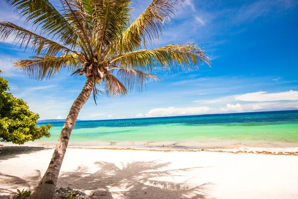 Perfekter tropischer Strand mit türkisfarbenem Wasser und weißen Sandstränden auf den Philippinen — Stockfoto