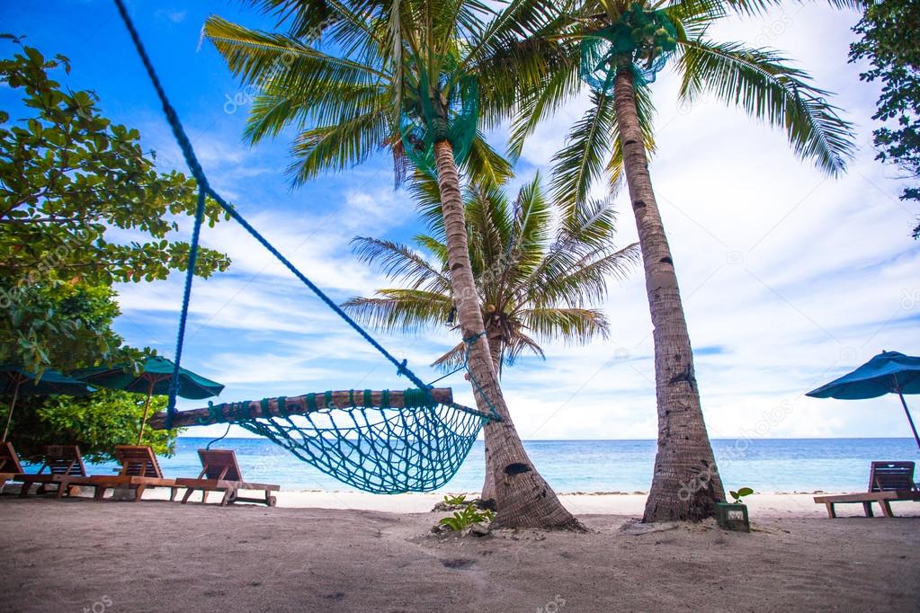 Romantic cozy hammock in the shadow of palm on tropical beach