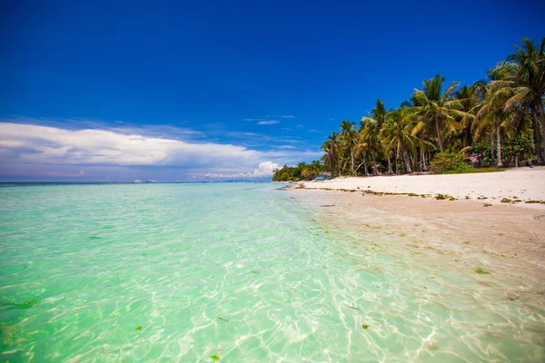 青緑色の水と白い三日月と完璧な熱帯のビーチ — ストック写真