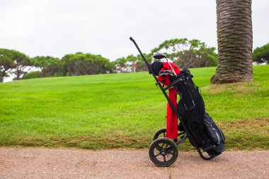 golf çantası yeşil mükemmel alan yakın çekim