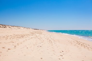 Turkuaz suyu ve beyaz kumu olan mükemmel bir tropik plaj.