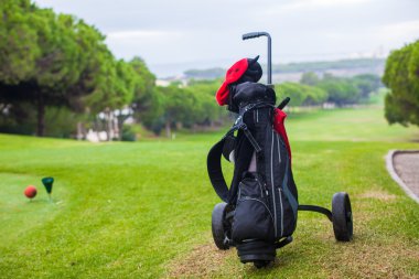 golf çantası yeşil mükemmel alan yakın çekim