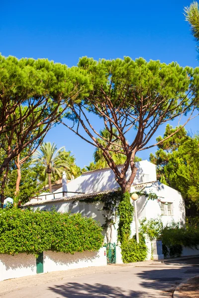 Pequeña casa entre los árboles en la aldea en Europa —  Fotos de Stock