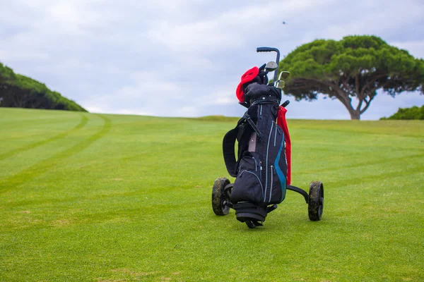 Primer plano de la bolsa de golf en un campo verde perfecto — Foto de Stock