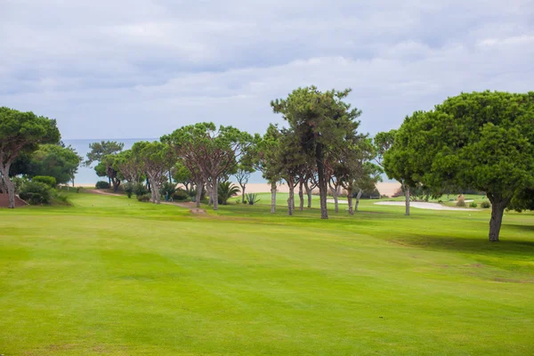 Пейзаж поля для гольфа — стоковое фото