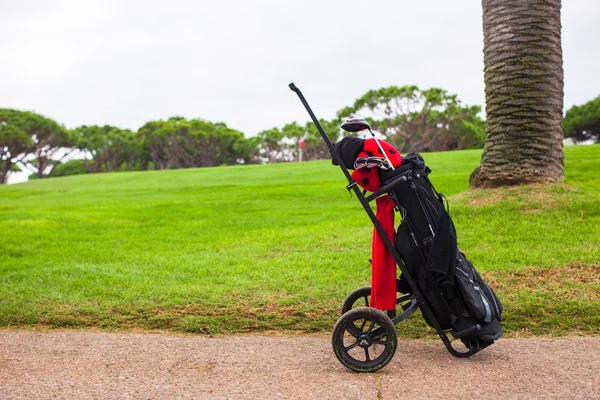 Primer plano de la bolsa de golf en un campo verde perfecto — Foto de Stock