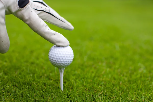Hand placing golf-ball on tee over golf course with green grass — Stock Photo, Image