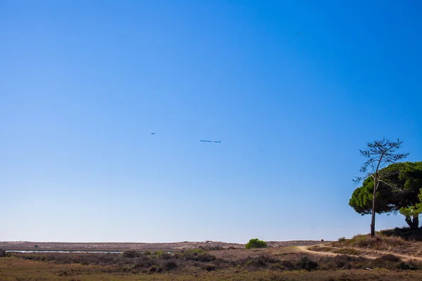 Avion avec une inscription dans le ciel bleu — Photo