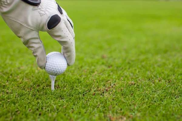 Hand placing golf-ball on tee over beautiful golf course with green grass — Stock Photo, Image